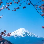Scale Mt. Fuji