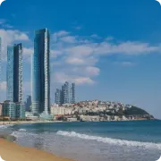 Sun Yourself in Busan