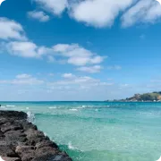 Journey to Jeju Island
